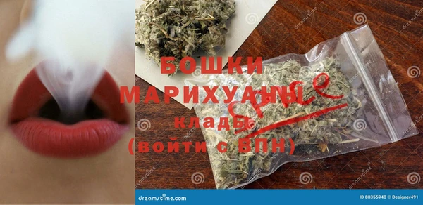 шишки Алексин