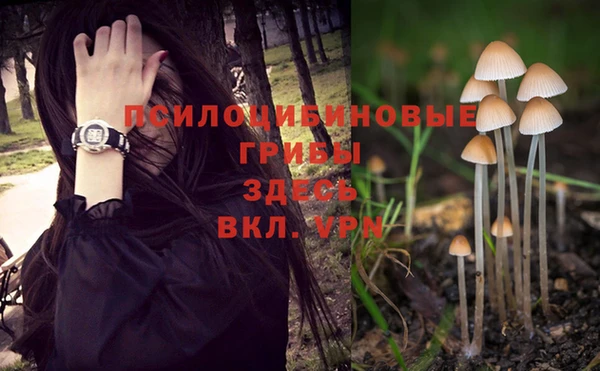 мяу мяу мука Алексеевка