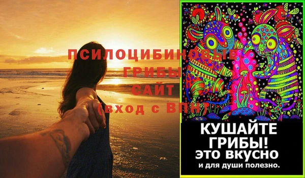 дмт Алзамай