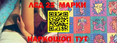 прущие грибы Ирбит