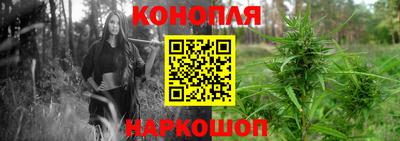 спиды Камышлов