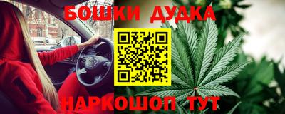 спиды Камышлов