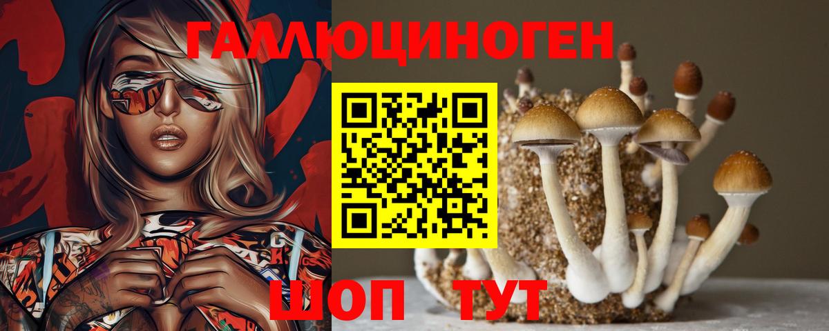 Галлюциногенные грибы Psilocybine cubensis  Псилоцибиновые грибы прущие грибы  Вход с VPN  Изобильный 